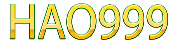 HAO999 Logo